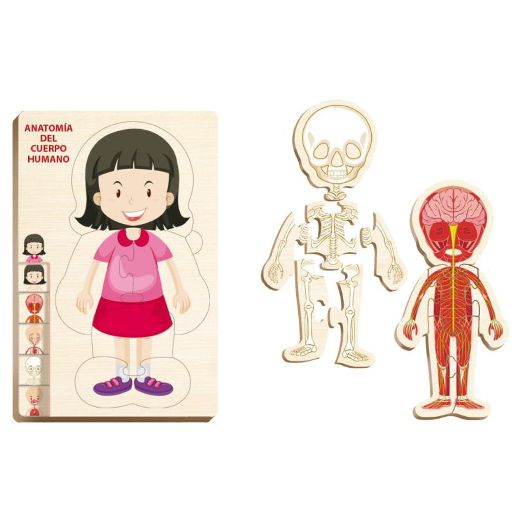ARMA Y APRENDE ANATOMÍA DEL CUERPO