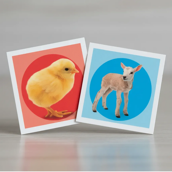 MEMO ANIMALES JUEGO EDUCATIVO