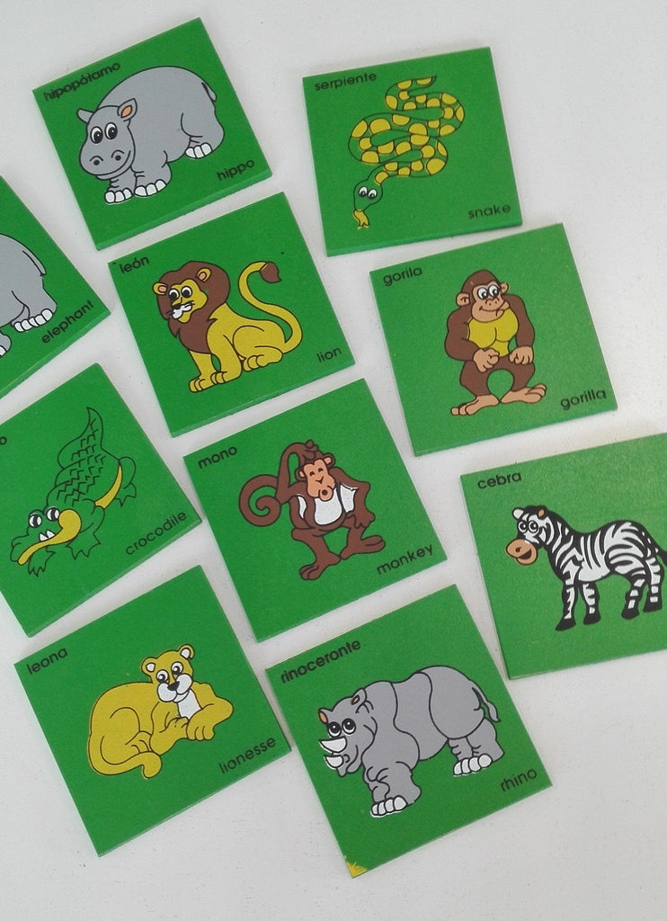 JUEGO DE MEMORIA LA SELVA